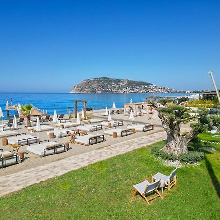 Day One Beach Resort & Spa - Adult Only Alanya Esterno foto Beach at the Hotel